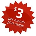 $2 per month usage