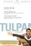 Tulpan