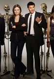 Bones