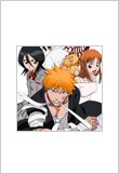 Bleach
