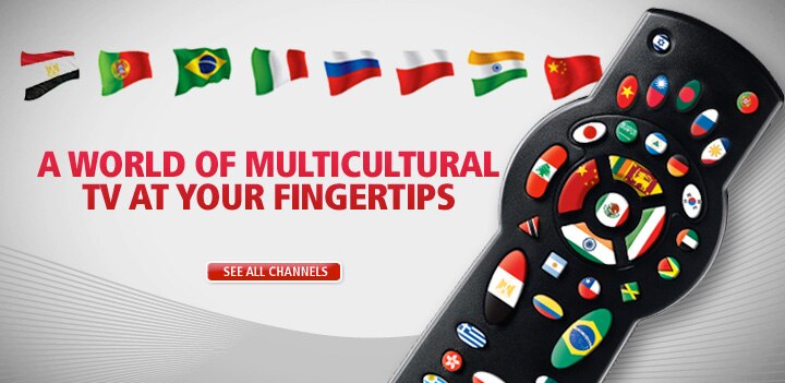 Not in front of a TV? No problem. Watch popular TV shows, movies and web-exclusive clips online! Available to all Rogers customers at rogersondemand.com.