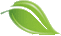Billing and Payment