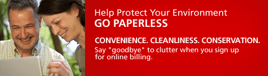 Online Billing