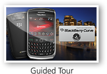 Guided Tour