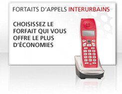 Fortaits d'appels interurbains