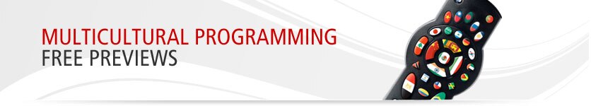 Multicultural Programming - Free Previews