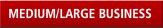 MEDIUM / LARGE BUSINESS