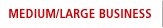MEDIUM / LARGE BUSINESS