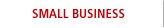 SMALL BUSINESS