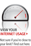 View Your Internet Usage