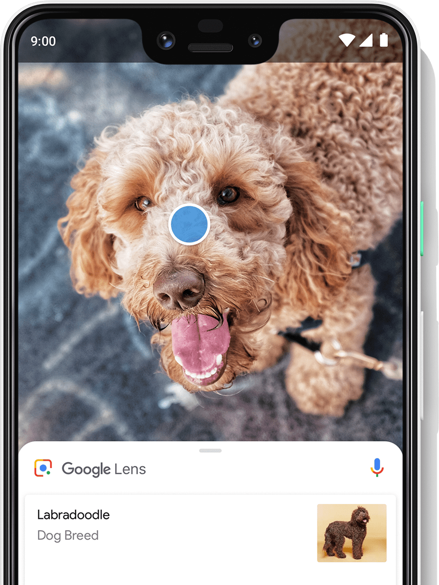 Google Lens lets you translate text and identify items in real time.